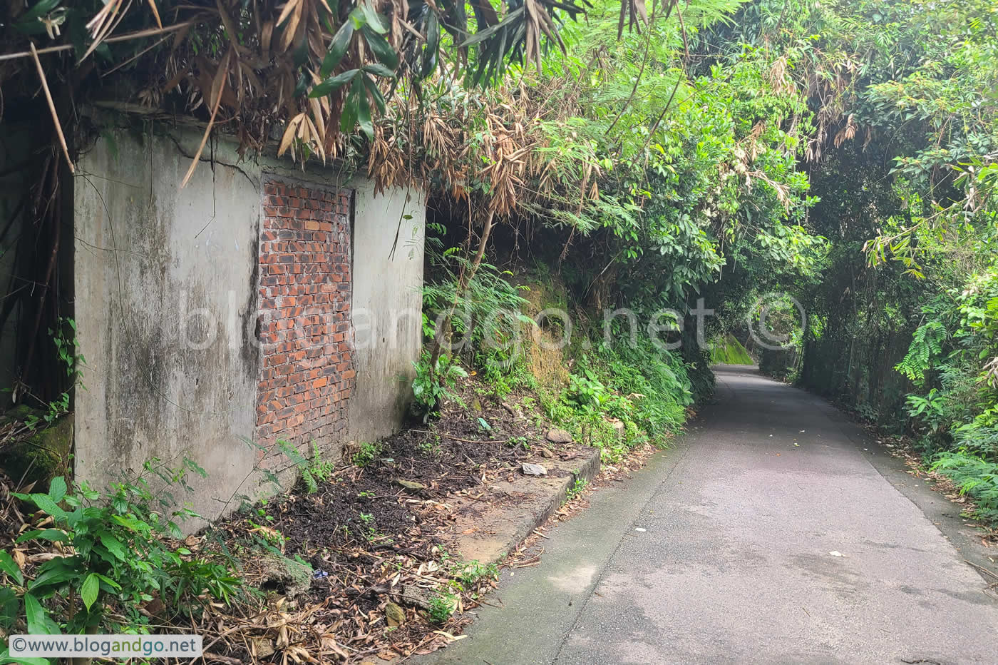 Mount Davis Battery - Early Ruins